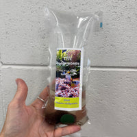 Scapeshop.com.au Fish Food Live Blackworms Fish Food 20ml Pack Buy Live Blackworms Fish Food from Scapeshop Australia