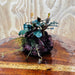 Scapeshop.com.au One Only Bucephalandra Lava Rock Small - ONE ONLY - Awesome Bucephalandra Lava Rock Small - ONE ONLY - Awesome