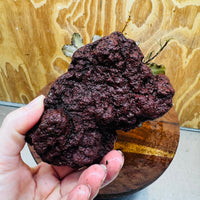 Scapeshop.com.au One Only Bucephalandra Lava Rock Small - ONE ONLY - Rusty Bucephalandra Lava Rock Small - ONE ONLY - Rusty