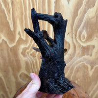 Scapeshop.com.au One Only Bucephalandra on Medium Driftwood - ONE ONLY - Joyfull Bucephalandra on Medium Driftwood - ONE ONLY - Scapeshop Australia