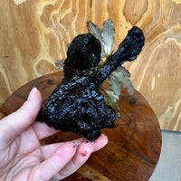 Scapeshop.com.au One Only Bucephalandra on Small Driftwood - ONE ONLY - Swish Bucephalandra Driftwood - ONE ONLY - Scapeshop Australia