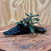 Scapeshop.com.au One Only Bucephalandra on Small Driftwood - ONE ONLY - Swish Bucephalandra Driftwood - ONE ONLY - Scapeshop Australia