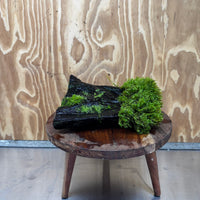 Scapeshop.com.au One Only Flame Moss Log - Shrek's Stump - One Only Flame Moss Log - Shrek's Stump - One Only