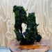 Scapeshop.com.au One Only Fontinalis Log - Large (Java Moss) - One Only - Nymph Fontinalis Log - Large (Java Moss) - One Only - Nymph