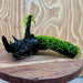 Scapeshop.com.au One Only Fontinalis Log - Medium (Java Moss) - One Only - Excellent Fontinalis Log - Medium (Java Moss) - One Only - Excellent