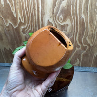 Scapeshop.com.au One Only Large Terracotta Urn with Anubias Paco - One Only For your aquarium Large Terracotta Urn with Anubias Nana - One Only