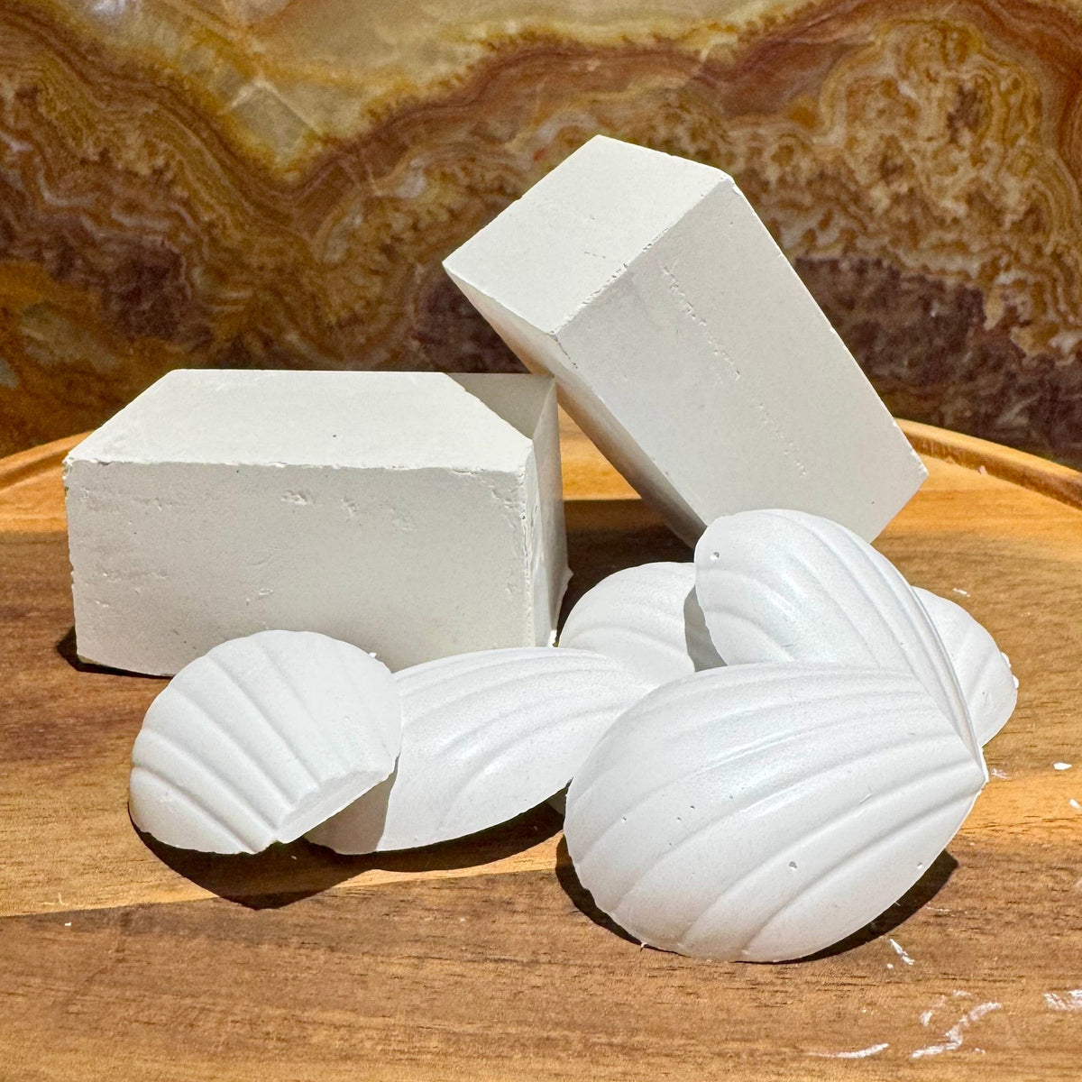 Calcim Shells Snail Calcium Blocks & Shells – Scapeshop.com.au
