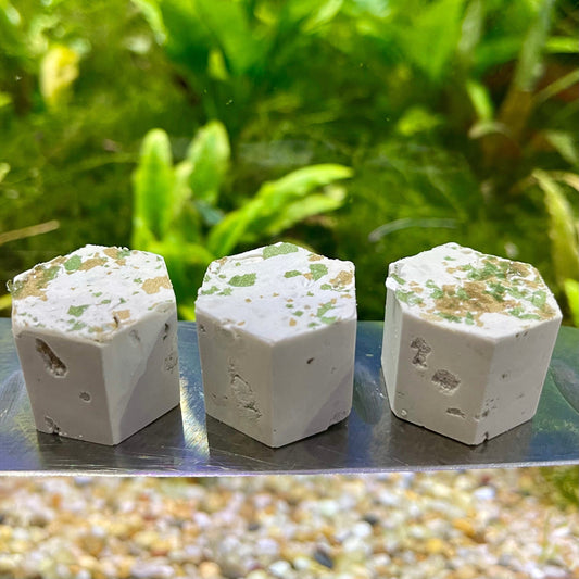 Scapeshop.com.au Snail Blocks Spirulina and Calcium Blocks for Snails & Shrimp - 3 Blocks Healthy Spirulina and Calcium Blocks for Snails & Shrimp - 3 Blocks