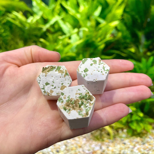 Scapeshop.com.au Snail Blocks Spirulina and Calcium Blocks for Snails & Shrimp - 3 Blocks Healthy Spirulina and Calcium Blocks for Snails & Shrimp - 3 Blocks