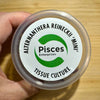 Pisces Enterprises Tissue Culture Alternanthera reineckii ‘Mini’ Tissue Culture