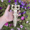 Load image into Gallery viewer, Komodo Resin Ornament Raptor Skull Resin Ornament - Small