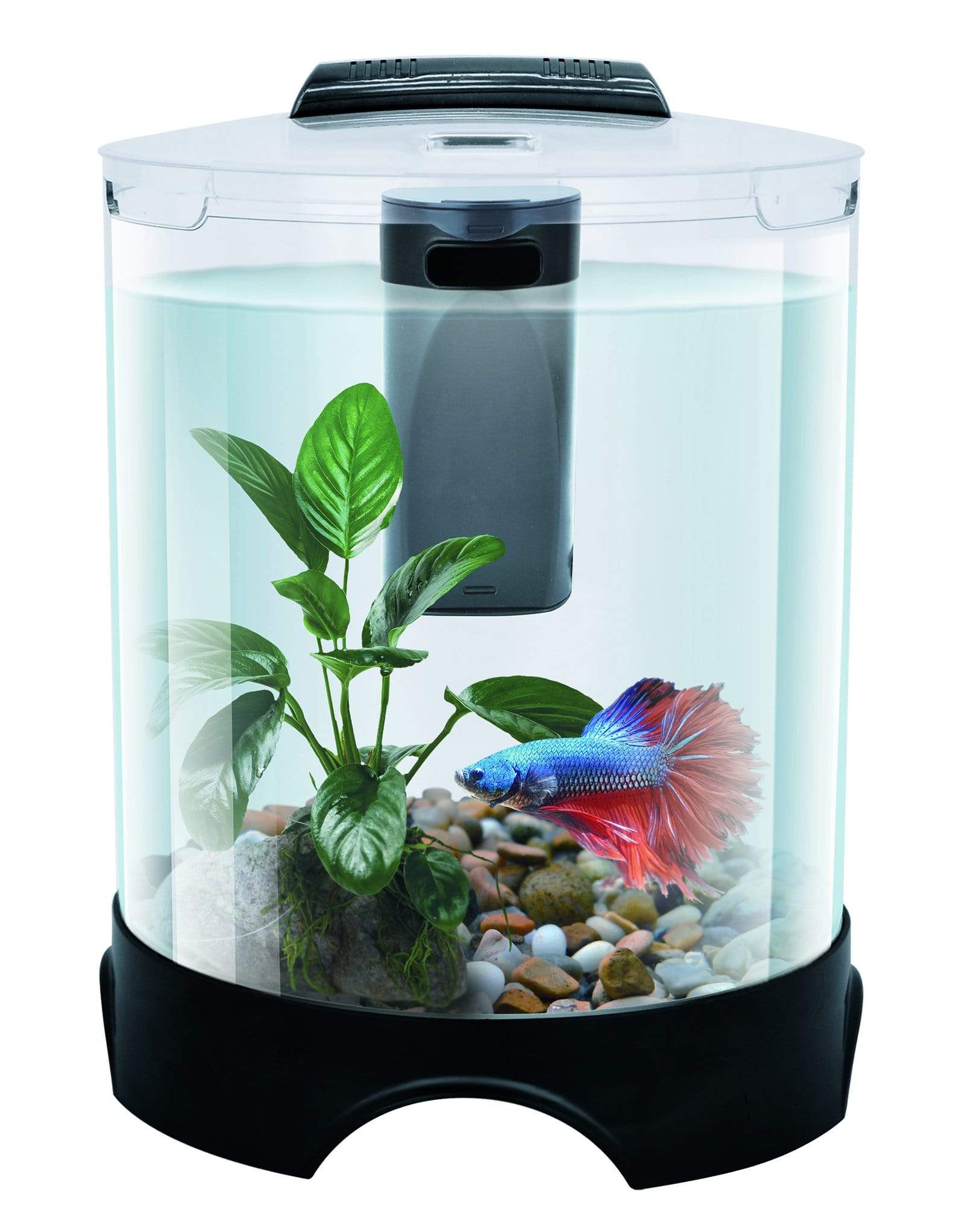 Pisces Aquatics Aquarium Tanks Pisces Aquatics Round Betta Tank Kit