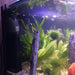 Pisces Enterprises Aquarium Filter Internal Aquarium Filter F800