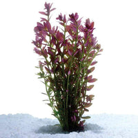 Pisces Enterprises Bunch Plant Pink Baby Tears Bunch