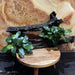 Pisces Enterprises Driftwood Creation Double Anubias 'Nana' on Extra-Large Driftwood Creation