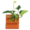 Load image into Gallery viewer, Pisces Enterprises Terracotta Creation Terracotta Shrimp Tubes with Anubias