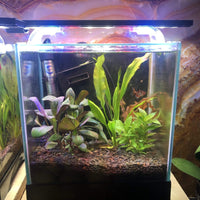 Scapeshop.com.au Aquarium Lights Pisces Aquatics LED Aquarium Light 35cm
