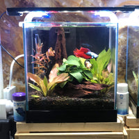 Scapeshop.com.au Aquarium Lights Pisces Aquatics LED Aquarium Light 35cm
