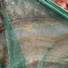 Scapeshop.com.au Aquascape Tools Aquarium Fish Net ~ 8 inch