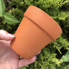 Scapeshop.com.au Hardscaping Bare Terracotta Pot 9cm