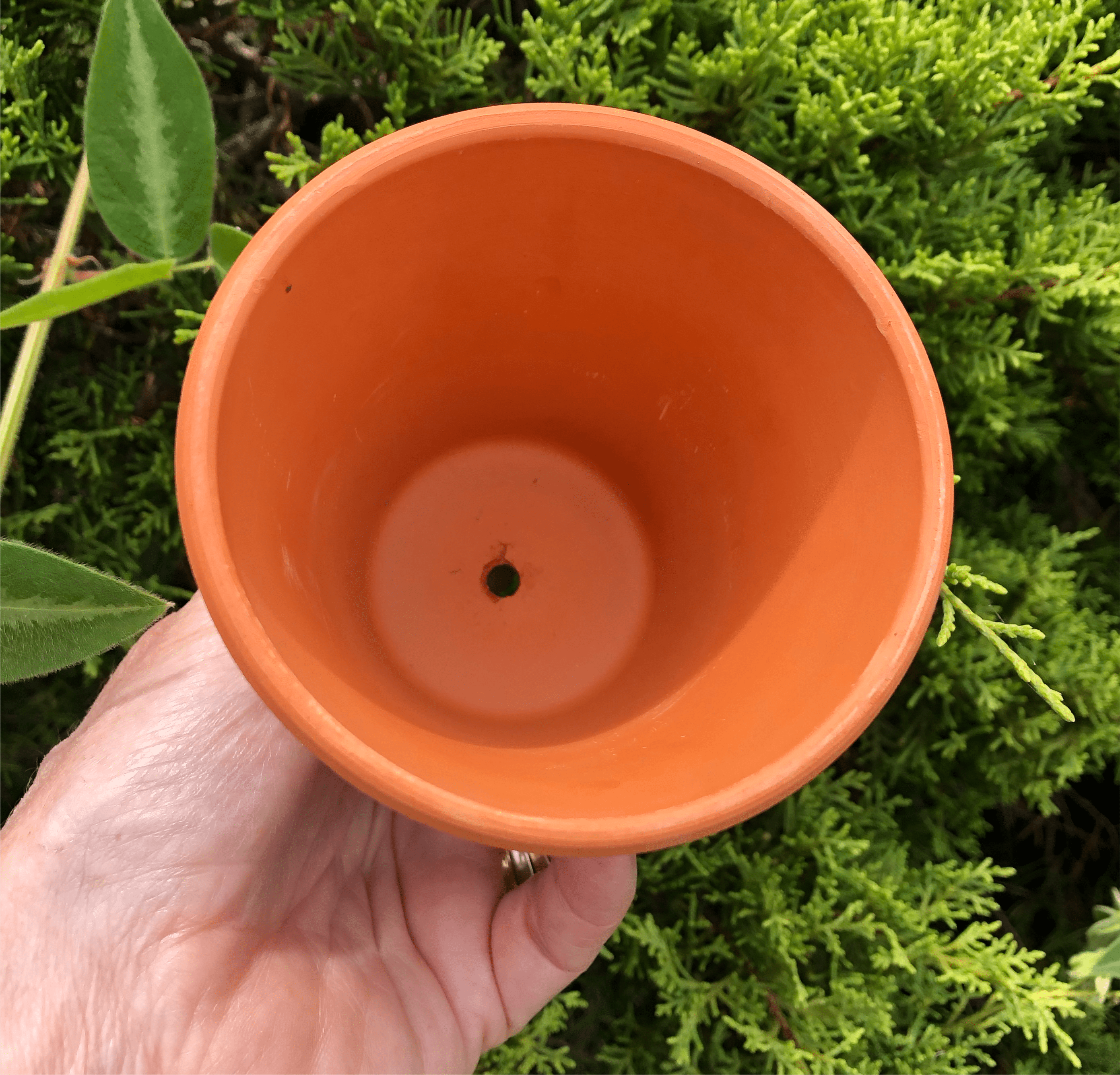 Scapeshop.com.au Hardscaping Bare Terracotta Pot 9cm