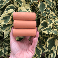 Scapeshop.com.au Hardscaping Bare Terracotta Shrimp Tubes