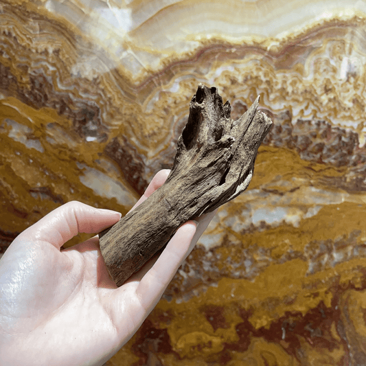 Scapeshop.com.au Hardscaping Malaysian Driftwood Blanks ~ Extra-Small (8-14cm)