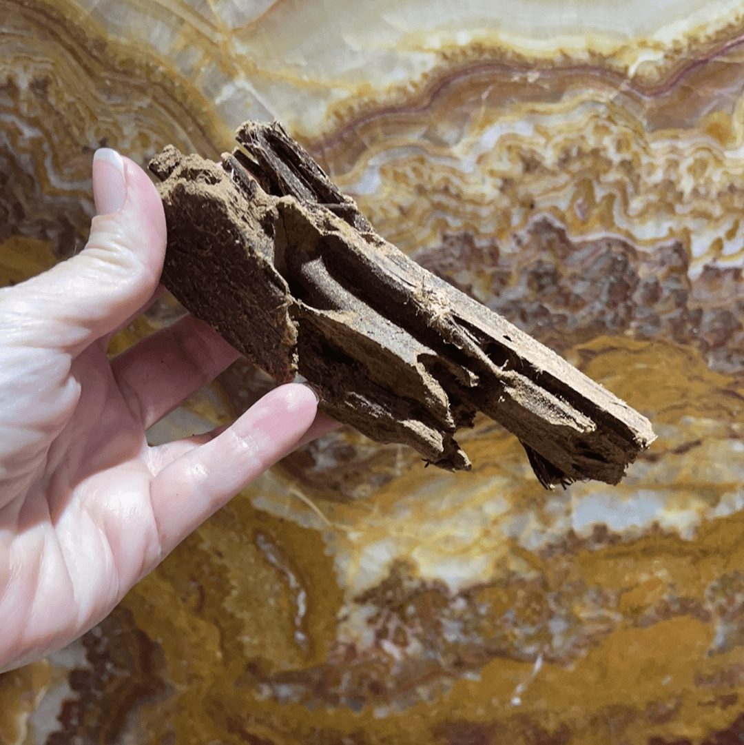Scapeshop.com.au Hardscaping Malaysian Driftwood Blanks ~ Extra-Small (8-14cm)