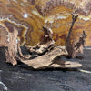 Scapeshop.com.au Hardscaping Malaysian Driftwood Blanks ~ Medium (25-34cm)