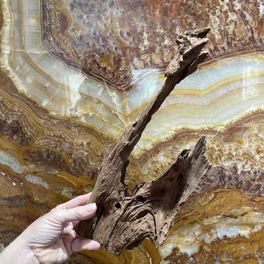 Scapeshop.com.au Hardscaping Malaysian Driftwood Blanks ~ Medium (25-34cm)