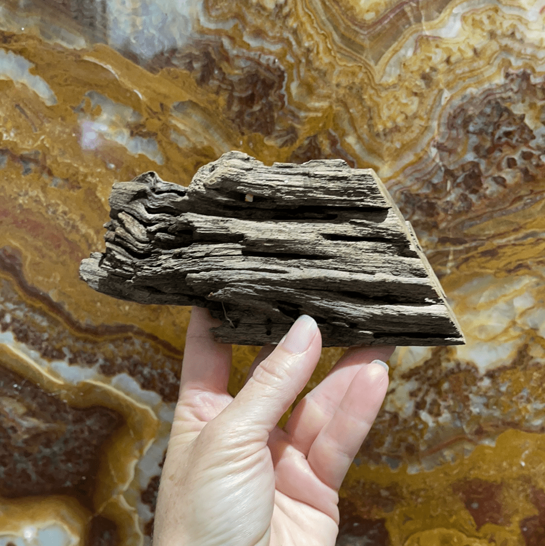 Scapeshop.com.au Hardscaping Malaysian Driftwood Blanks ~ Small (15-24cm)