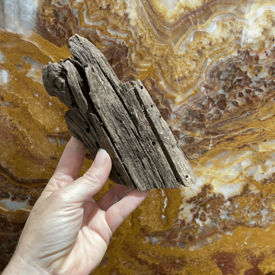 Scapeshop.com.au Hardscaping Malaysian Driftwood Blanks ~ Small (15-24cm)