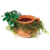 Load image into Gallery viewer, Scapeshop.com.au Terracotta Creation Large Urn with Handles ~ Nana &amp; Fontinalis